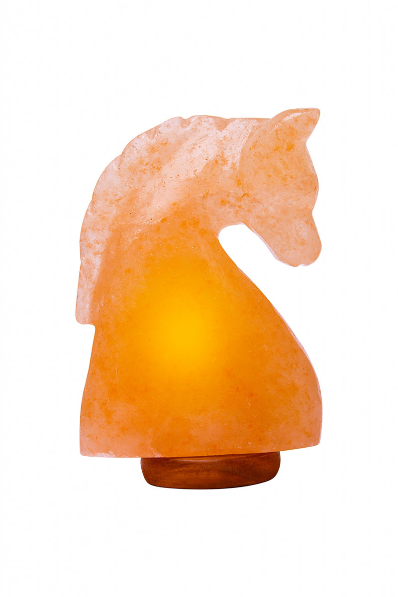 Himalayan Rock Salt Horse Lamp