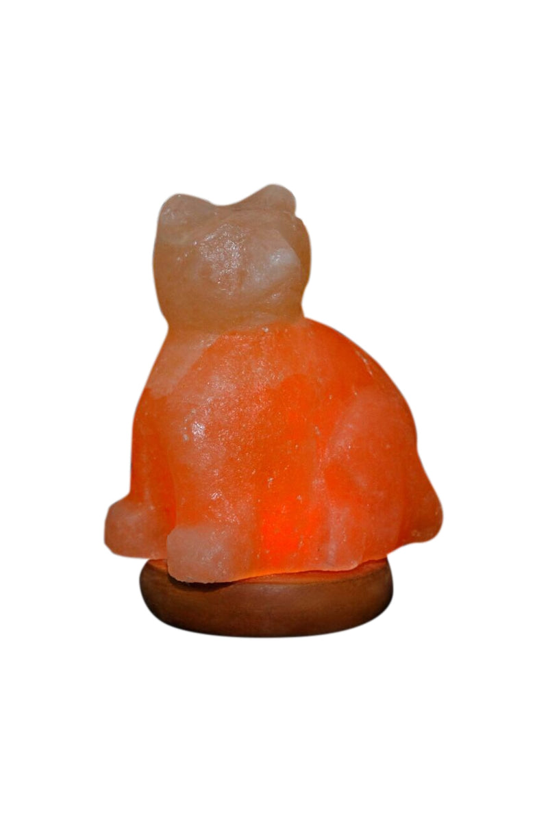 Himalayan Rock Salt Mini Cat Lamp