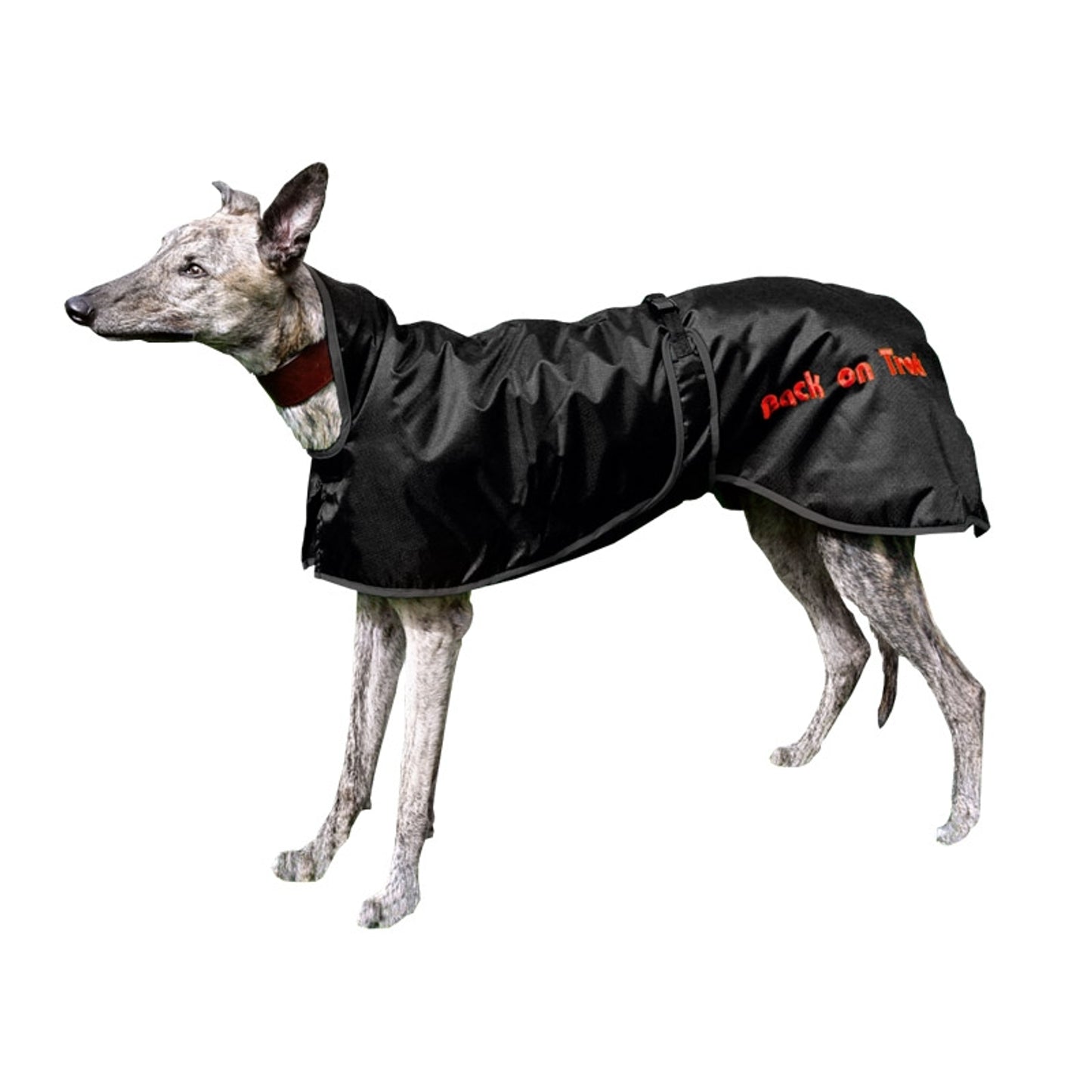 3215_greyhoundrug_2_web.jpg