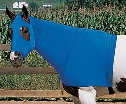 Weaver EquiSkinz Lycra Hood
