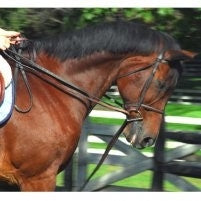 Better Grip Draw Reins