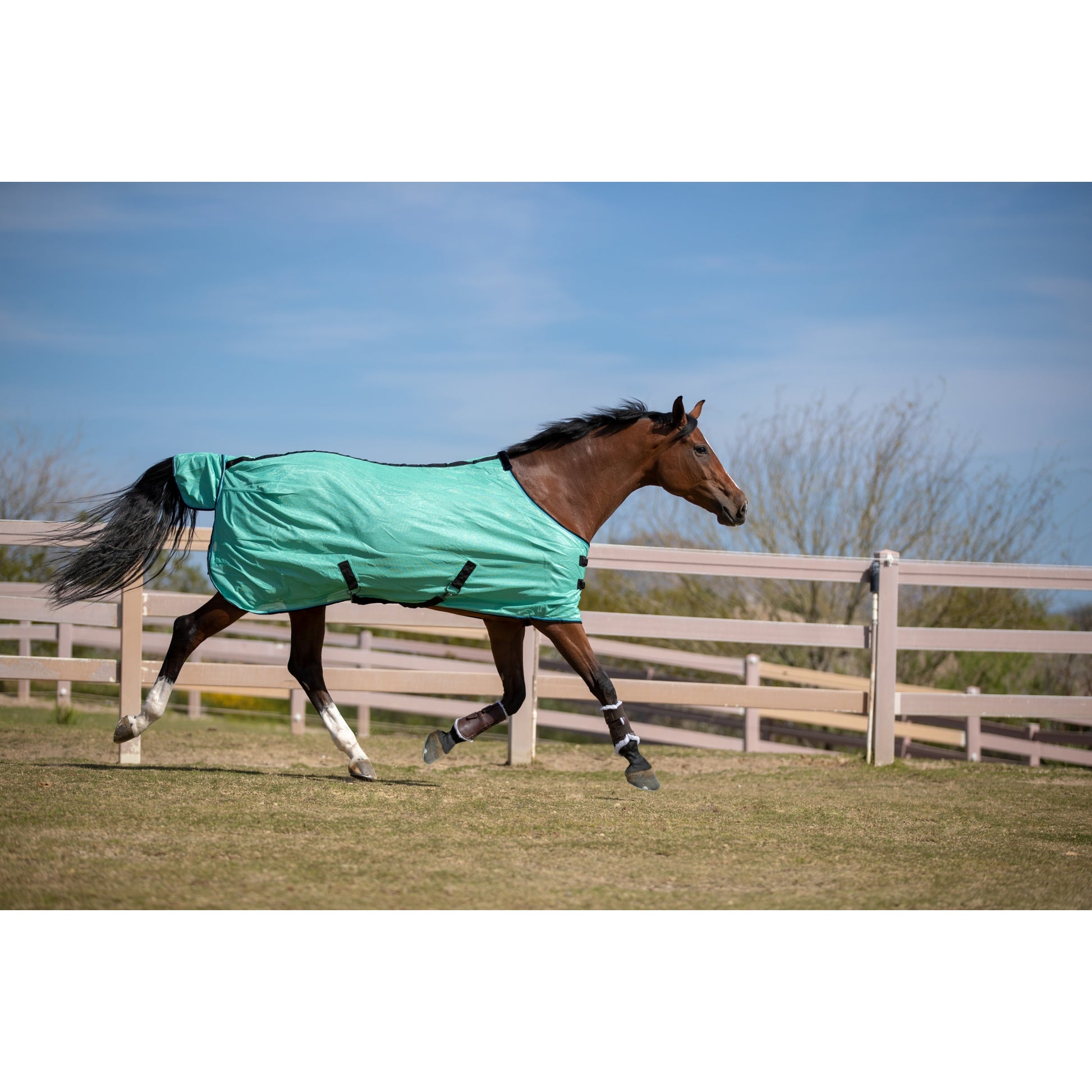 Kensington All Around PolyMax SureFit Fly Sheet