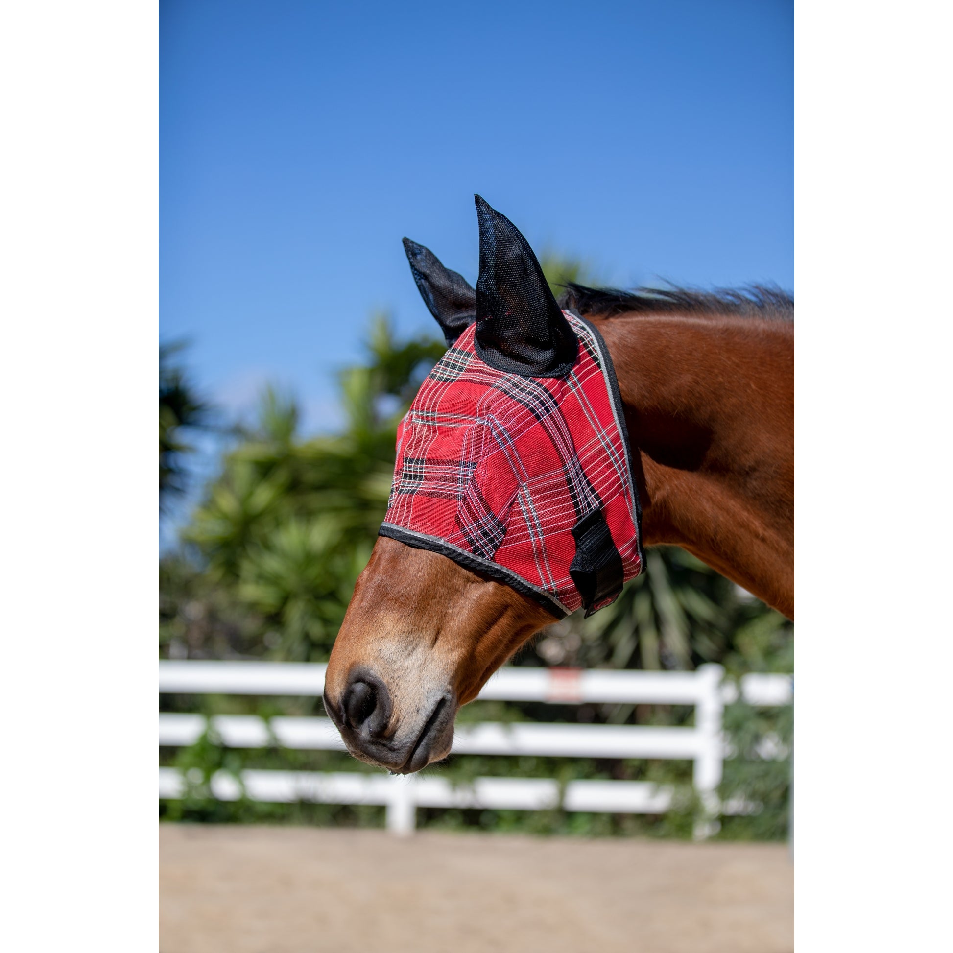 Kensington Fly Mask With Web Trim & Ears