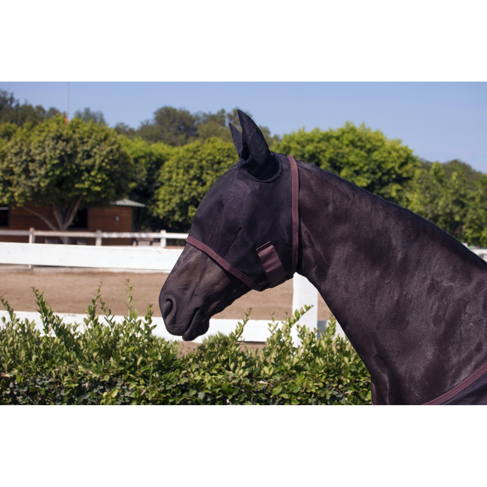 Kensington Fly Mask With Web Trim & Ears