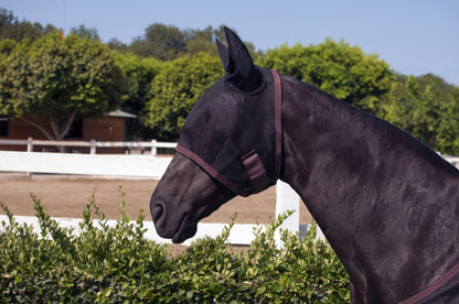 Kensington Fly Mask With Web Trim & Ears