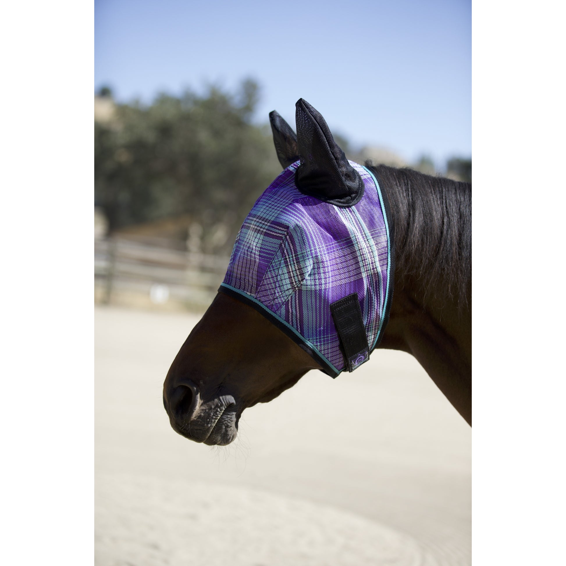 Kensington Fly Mask With Web Trim & Ears