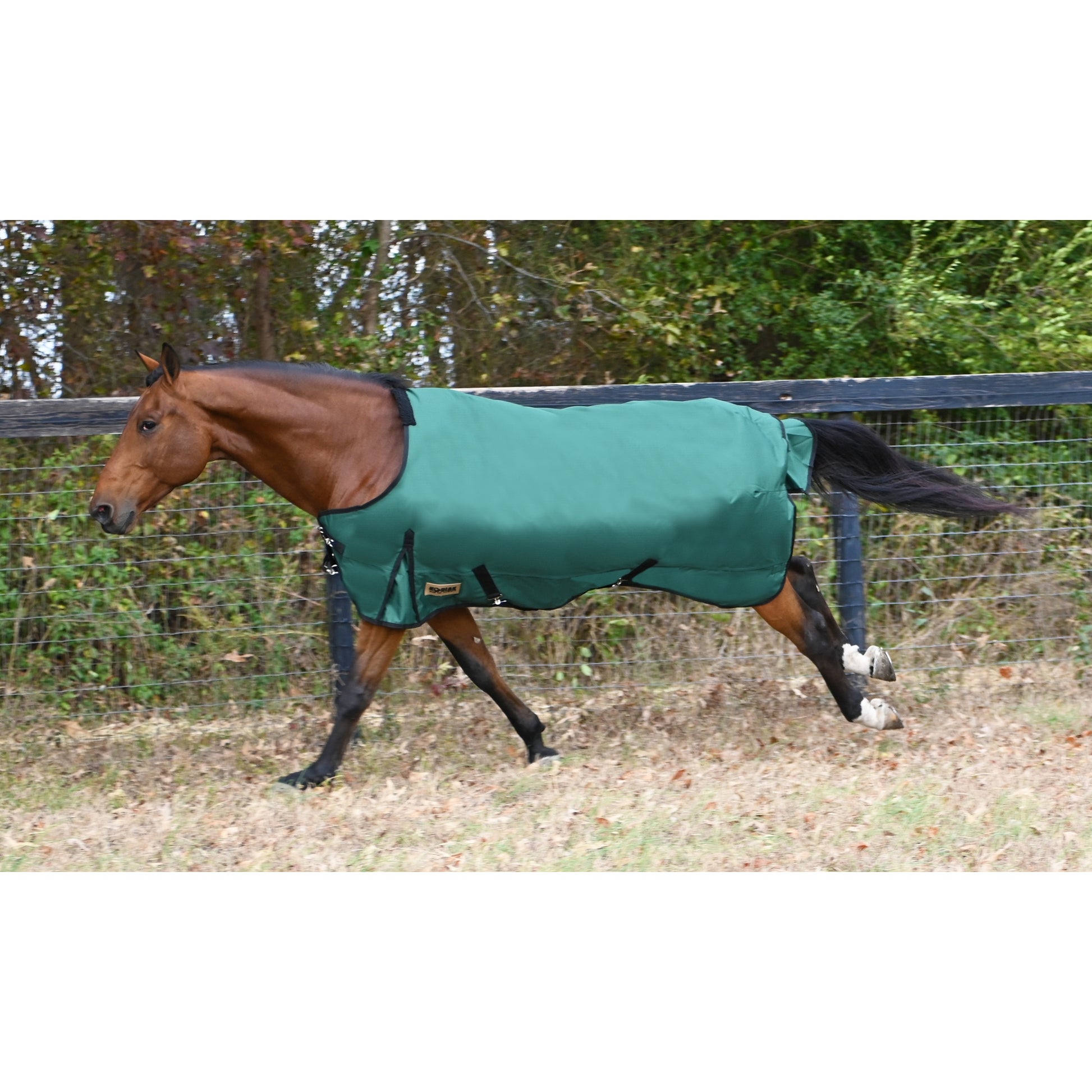 Kodiak 1200D Ripstop Waterproof Heavyweight Blanket