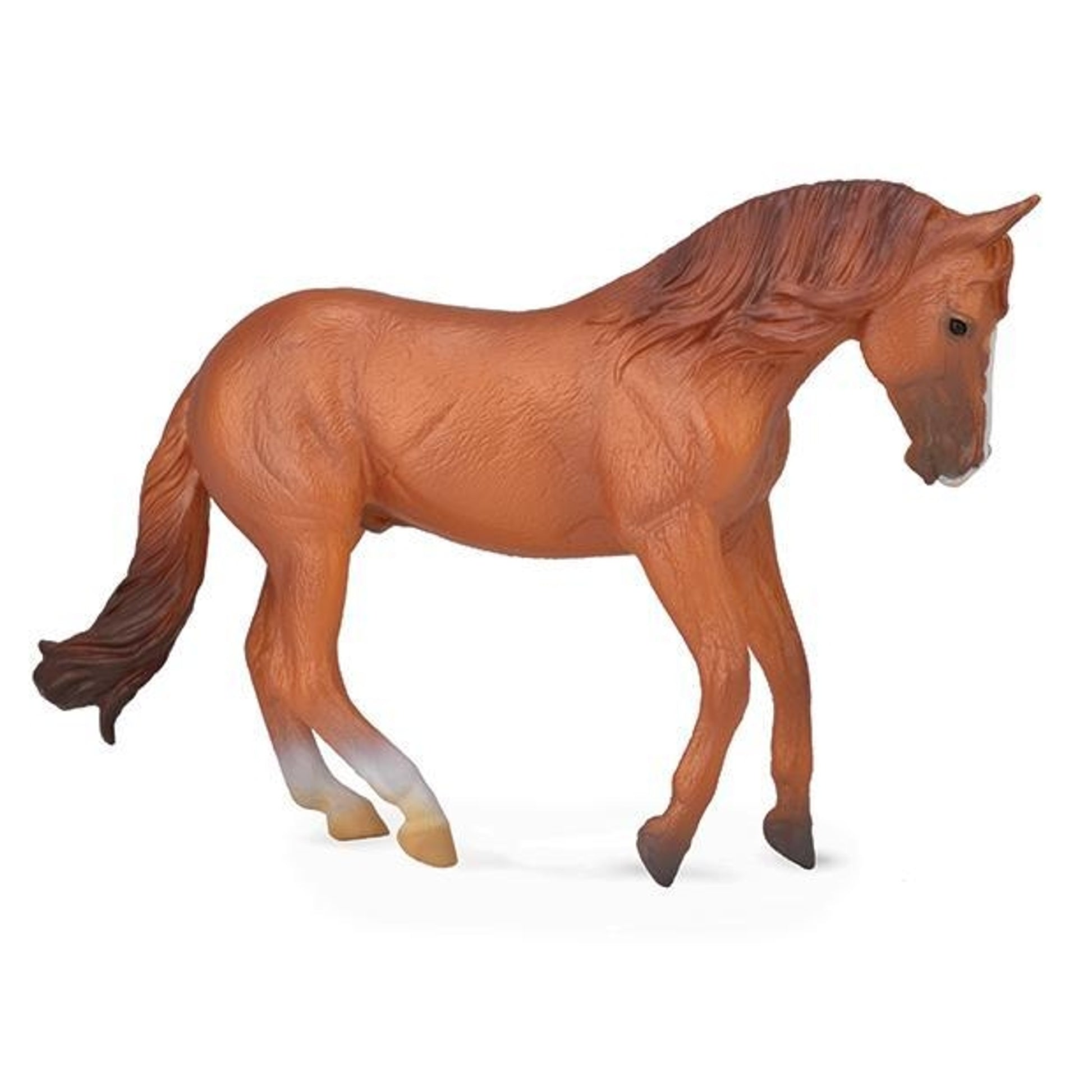 Breyer by CollectA - Chestnut Australian Stock Horse Stallion
