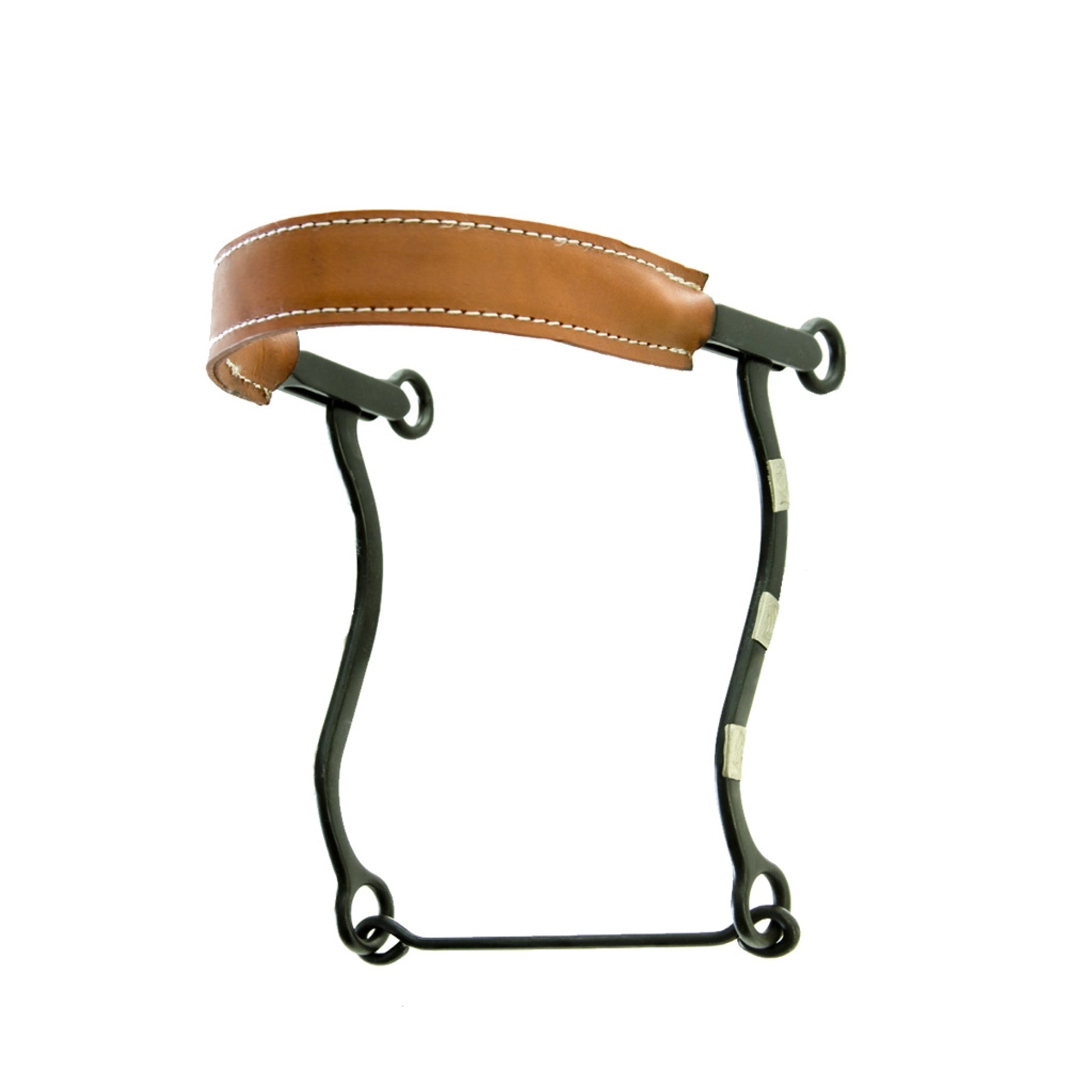 Satin Hackamore Bit