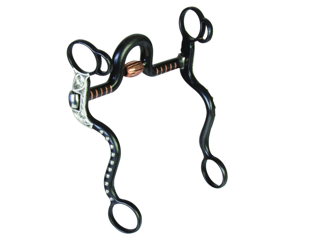 Mors De Bride Western Pour Cheval - Type Curb Bit - Port Medium - Occasion