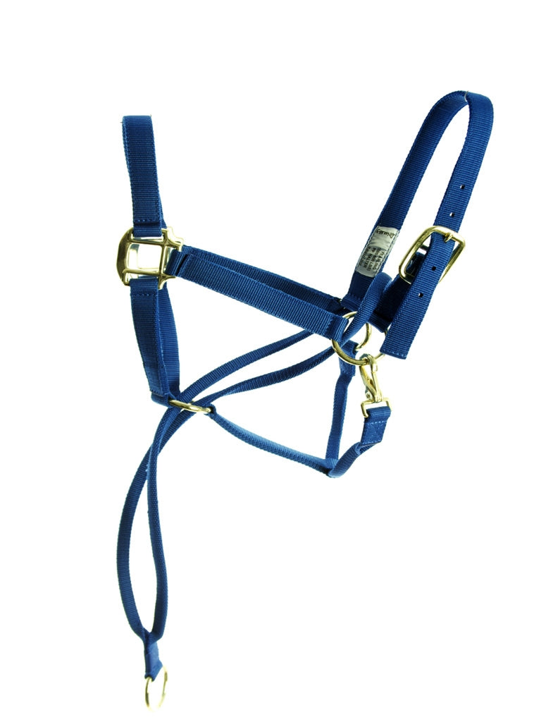 Horse Halters On Duty Dog Training Halter Afterpay Stylish