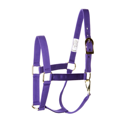 Basic 2-Ply Halter with Snap