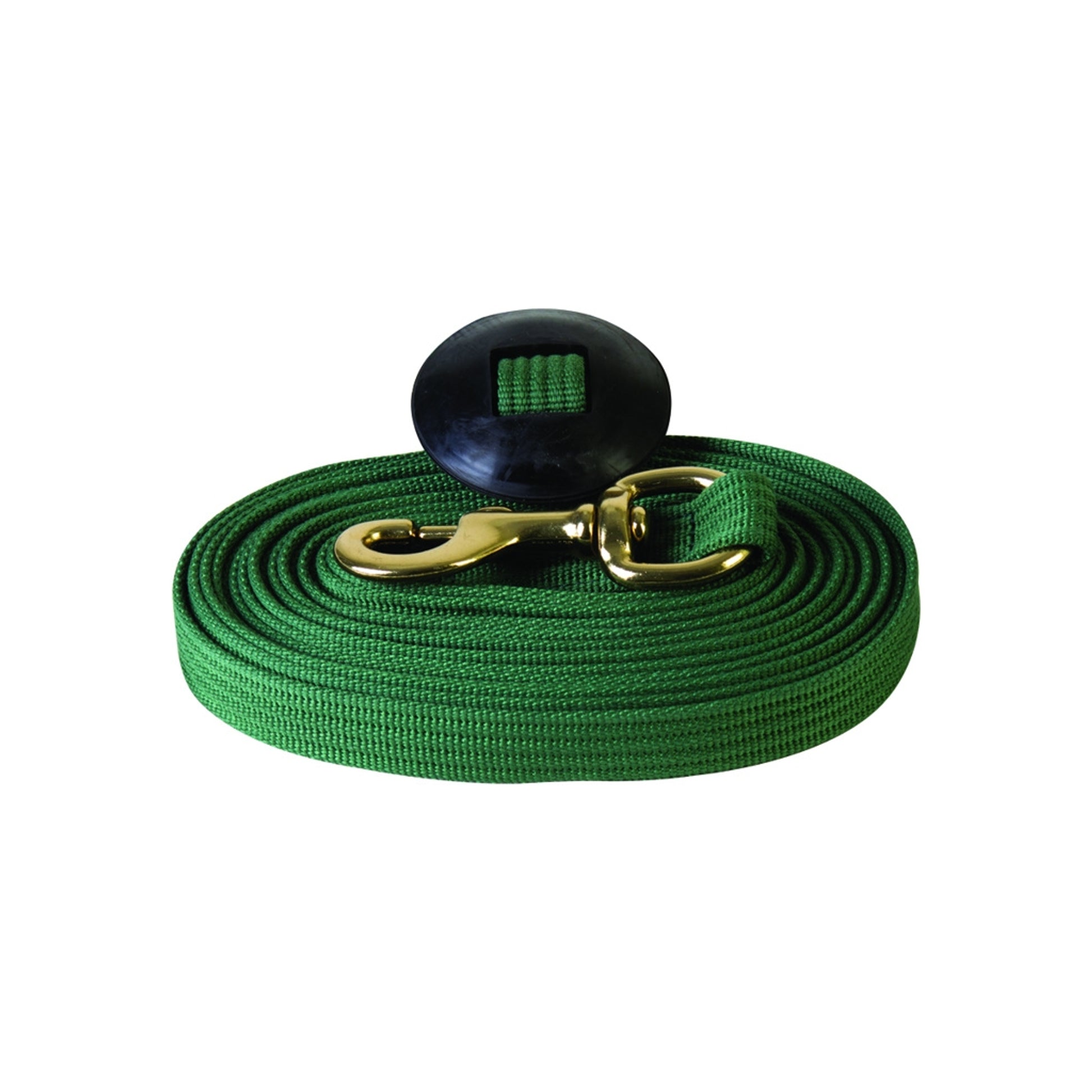 Basic Flat Cotton Web Lunge Line