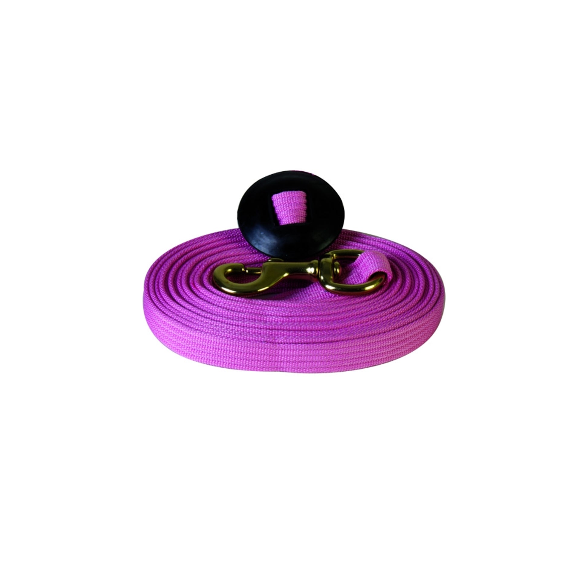 Basic Flat Cotton Web Lunge Line