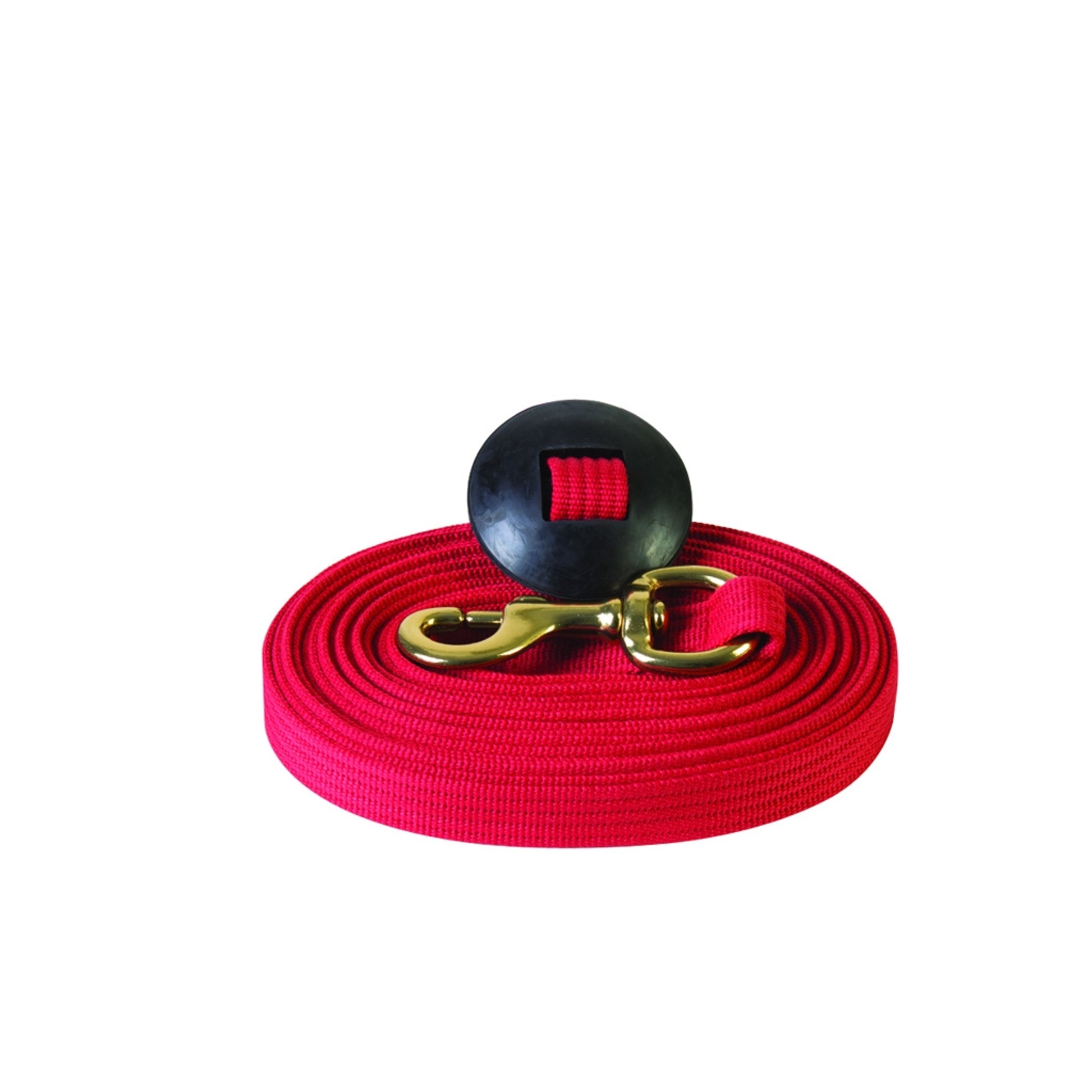 Basic Flat Cotton Web Lunge Line