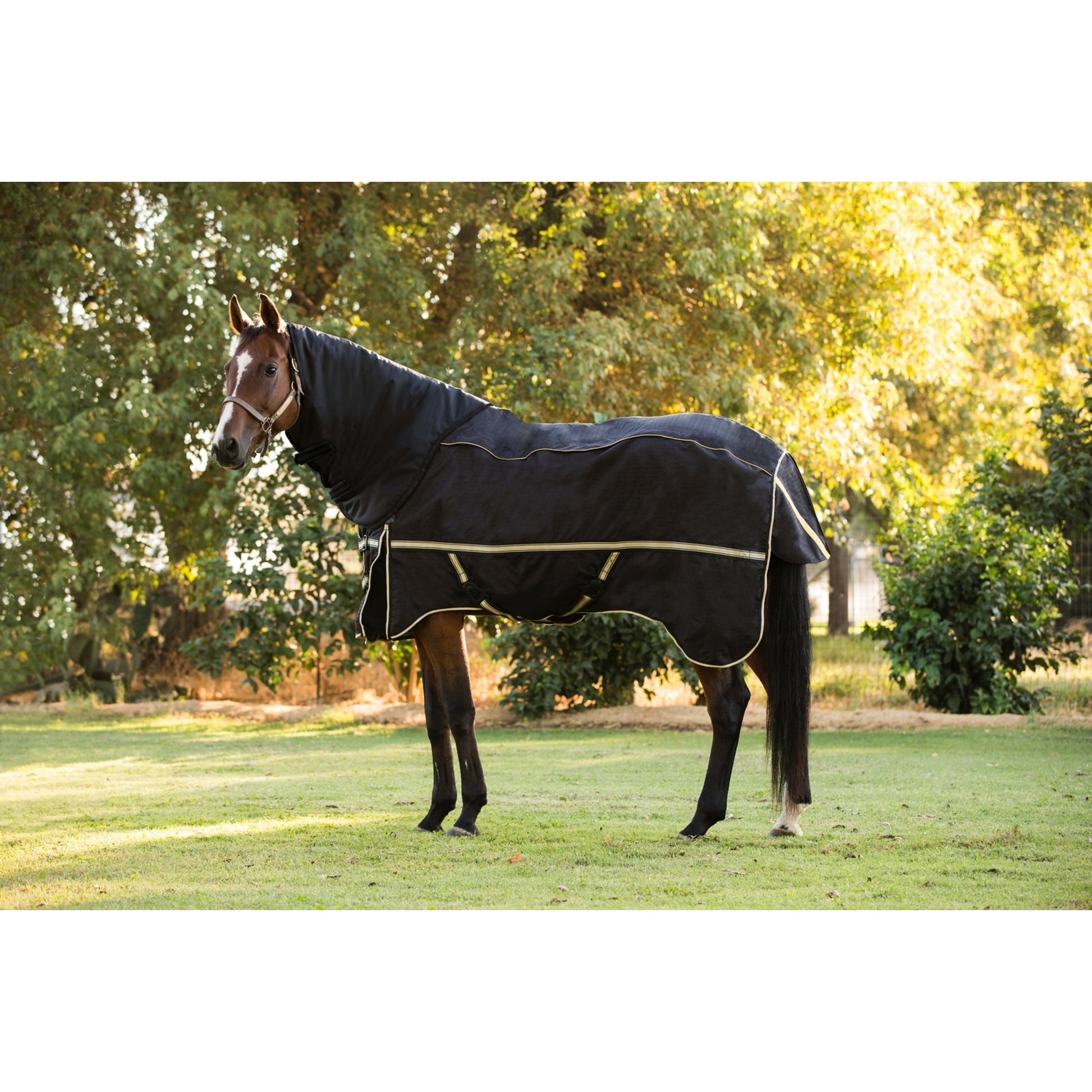 Noble Equestrian Guardman Neck Cover