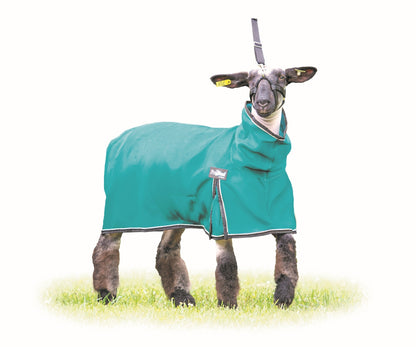 Weaver ProCool Mesh Sheep Blanket