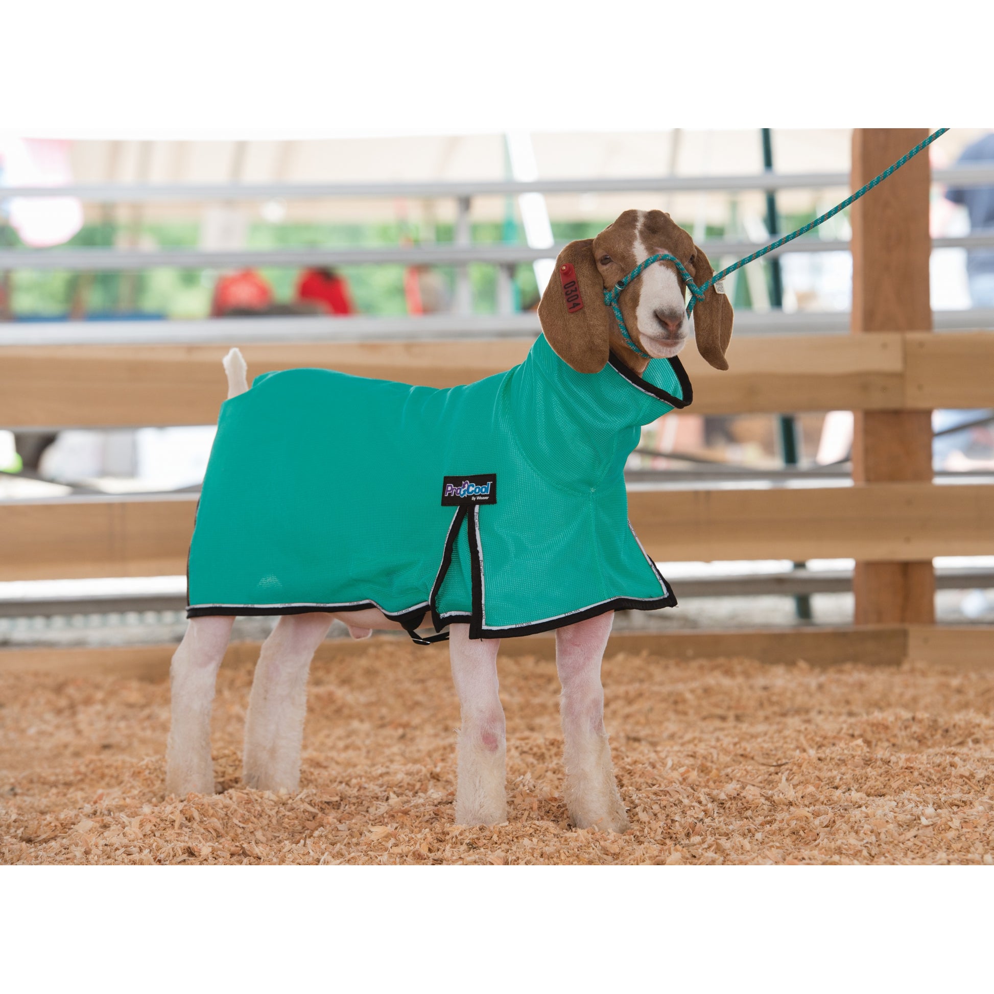 ProCool Mesh Goat Blanket with Reflective Piping