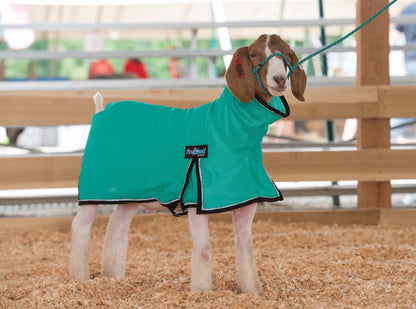 ProCool Mesh Goat Blanket with Reflective Piping