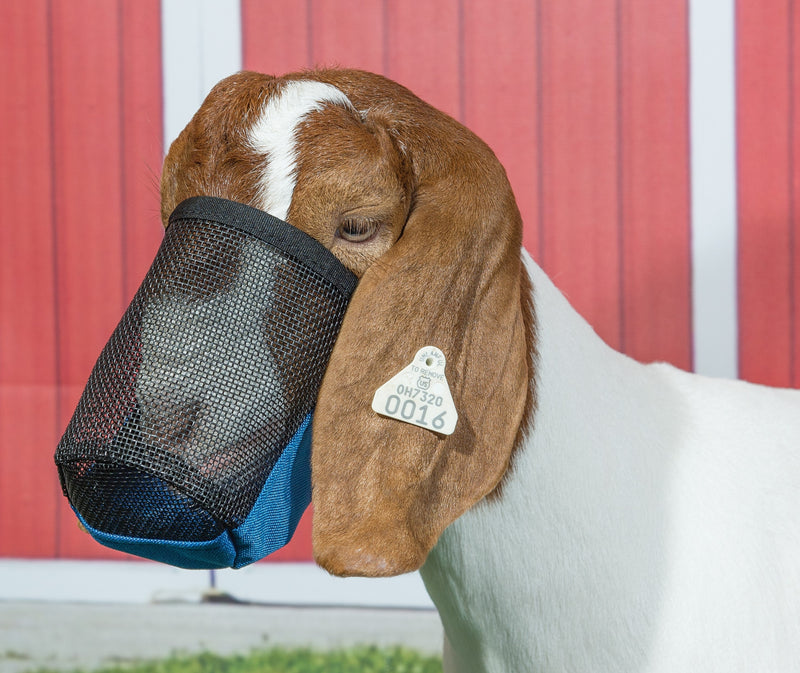 Weaver Leather Deluxe Adjustable Goat/Sheep Muzzle