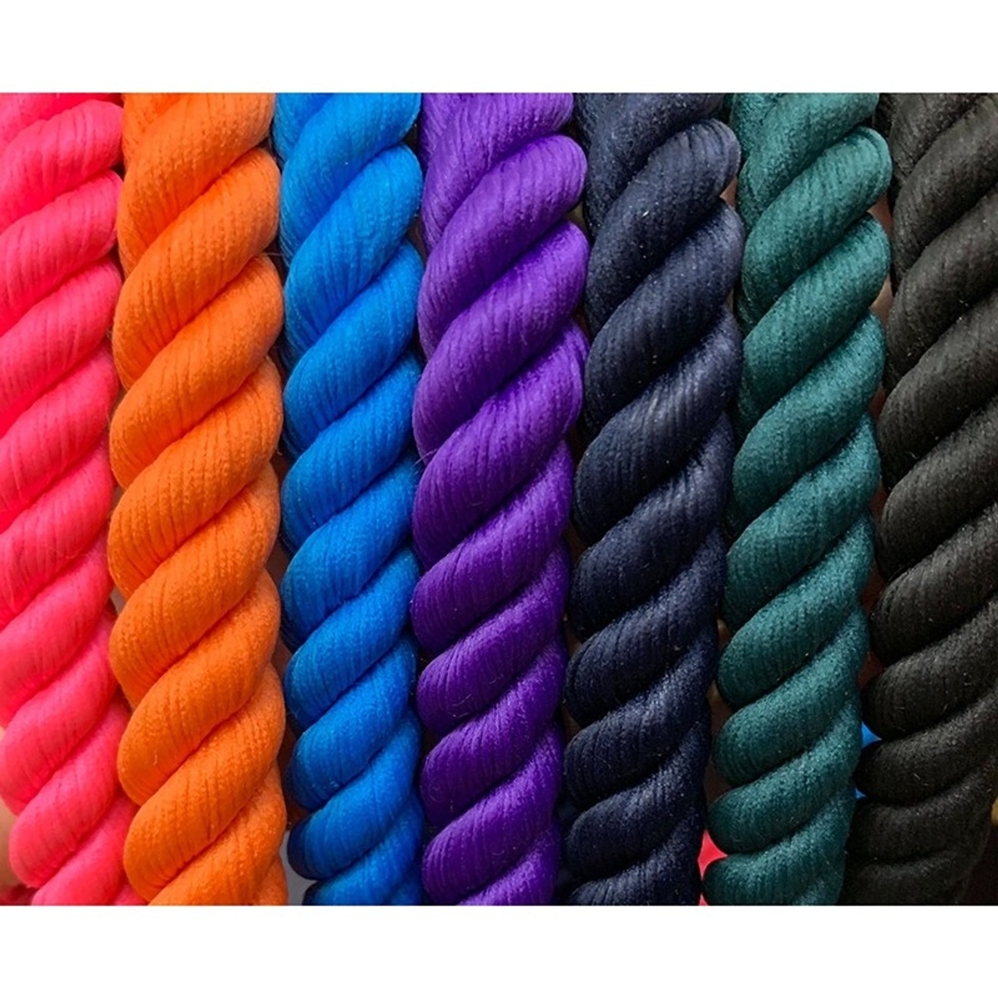 Shires Digby & Fox Rope Dog Lead