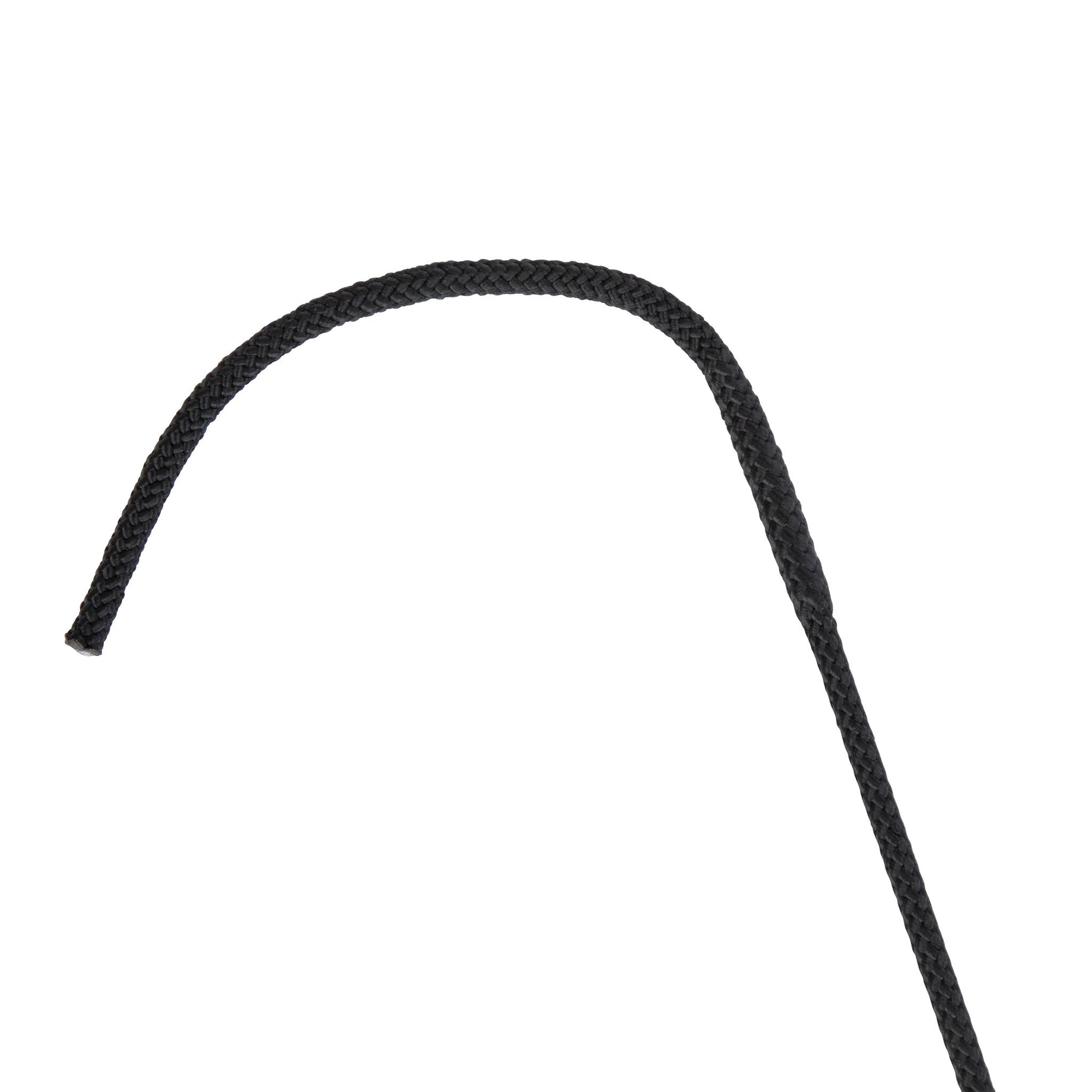 Shires Topaz Schooling Whip