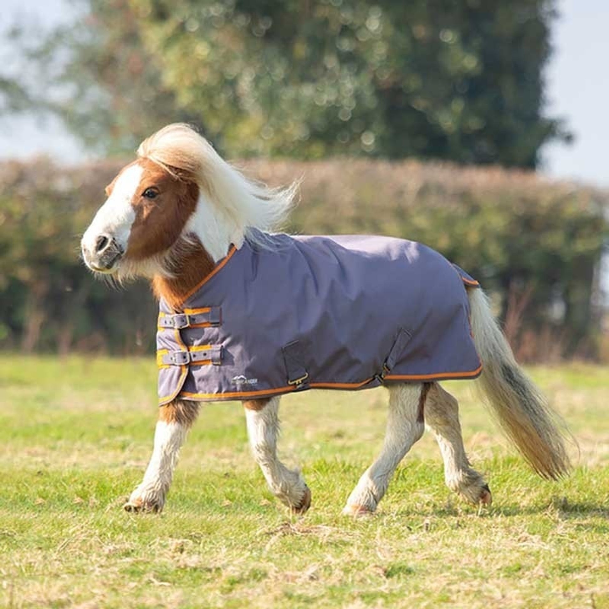 Shires Stormbreaker 600D Miniature Turnout Blanket - 200g