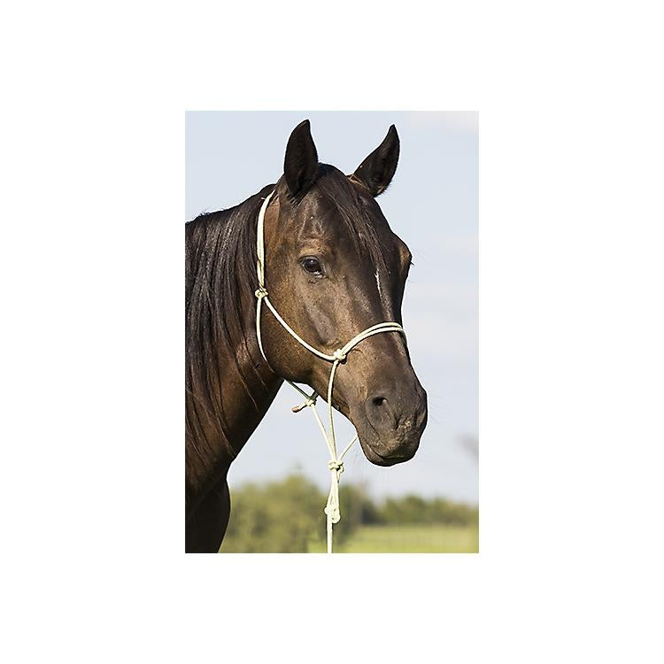 Mustang BAMTEX Bamboo Rope Halter with Attached Lead