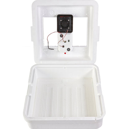 Little Giant Digital Egg Incubator