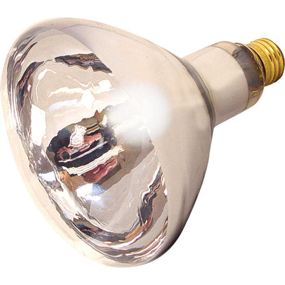 Farm Innovators Heat Lamp Bulb