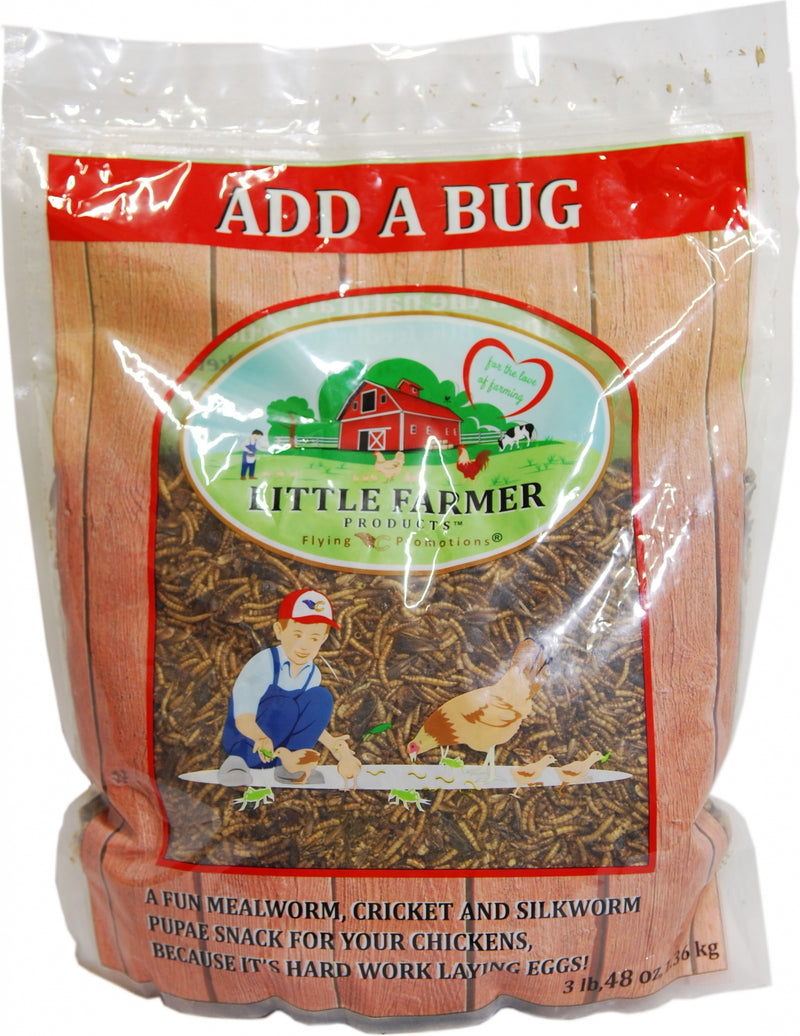 Little Farmer Add A Bug Chicken Treat