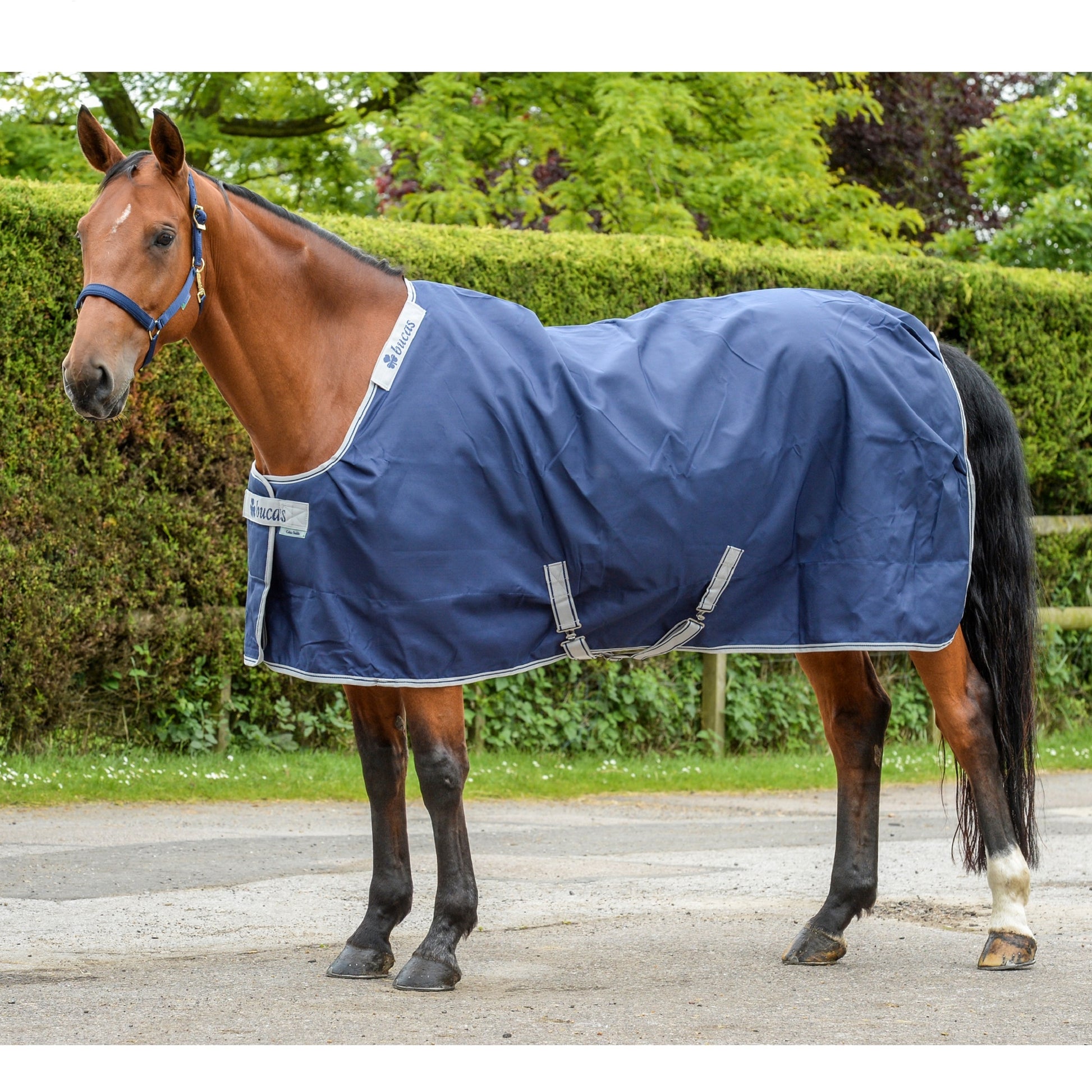 Bucas Celtic Light Stable Blanket