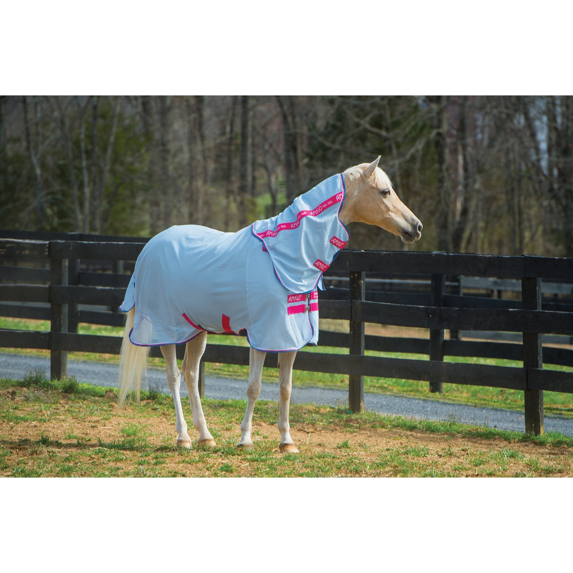 Amigo Pony Bug Rug Blanket
