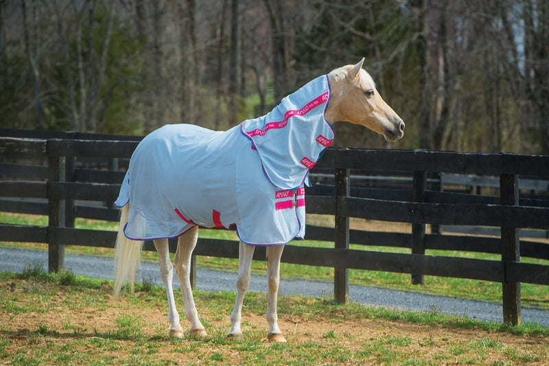 Amigo Pony Bug Rug Blanket