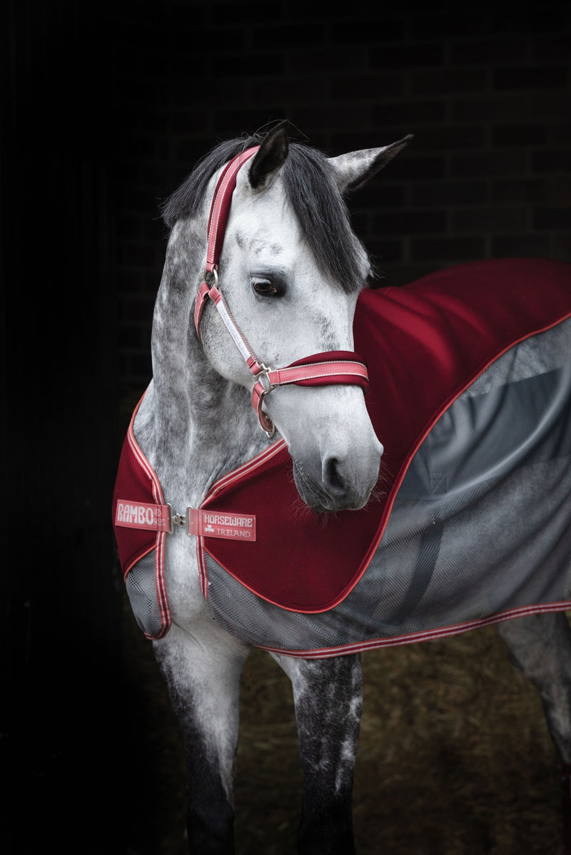 Horseware Fashion Airmesh Halter