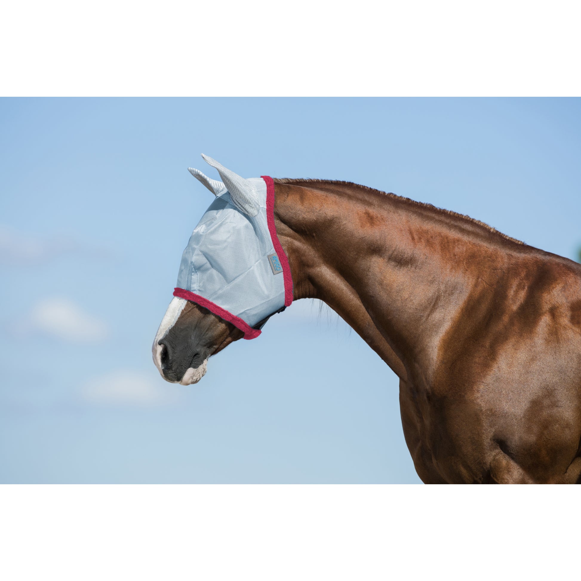 Amigo FlyMask