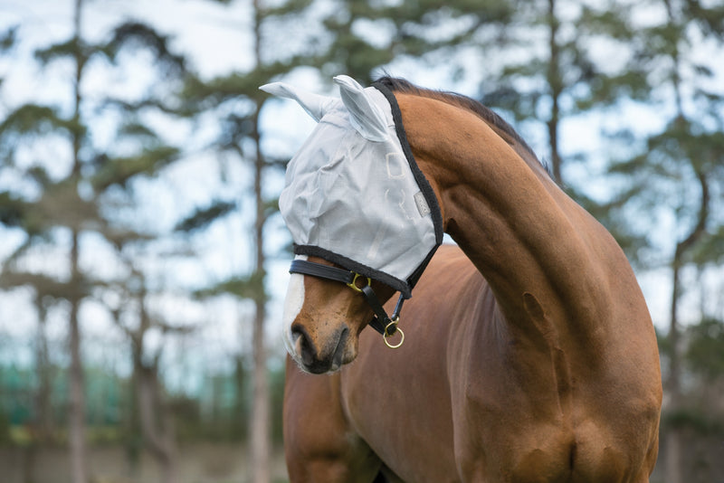 Amigo FlyMask