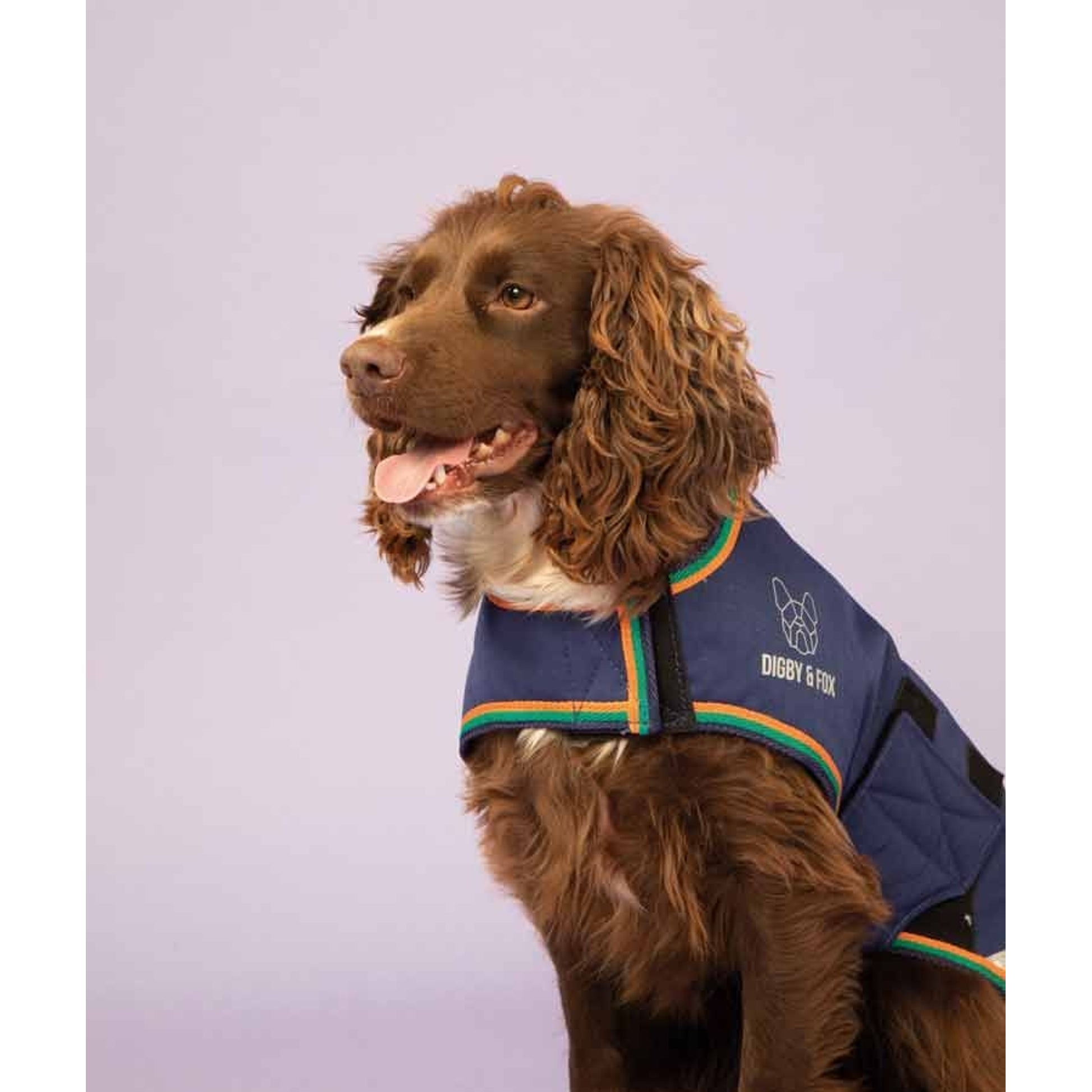 Shires Digby & Fox Waterproof Dog Coat