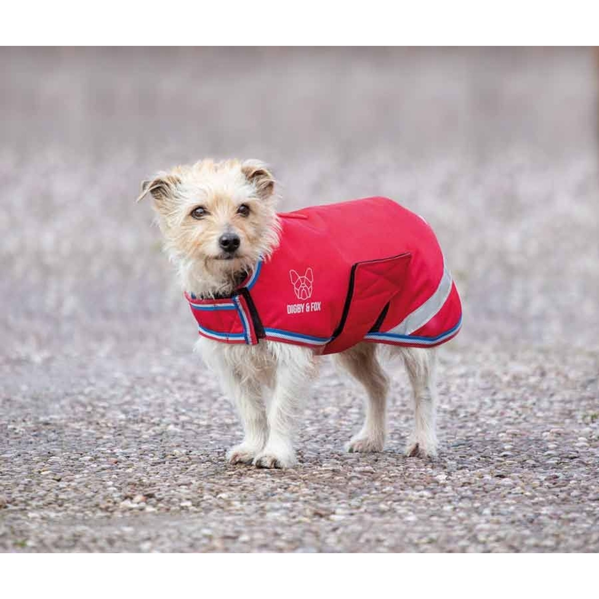 Shires Digby & Fox Waterproof Dog Coat