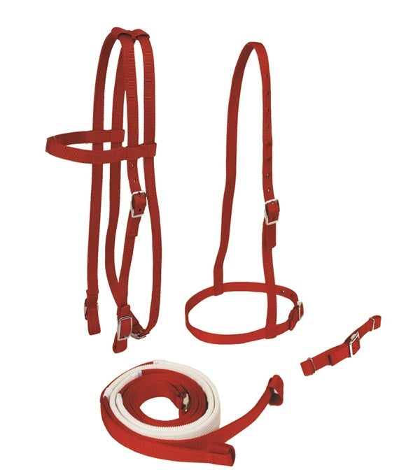 Jacks Race Bridle Set