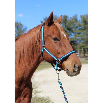 TuffRider Nylon Breakaway Halter & Lead Set