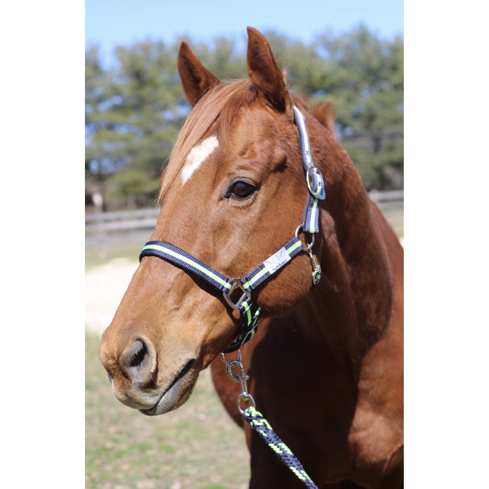 TuffRider Nylon Breakaway Halter & Lead Set