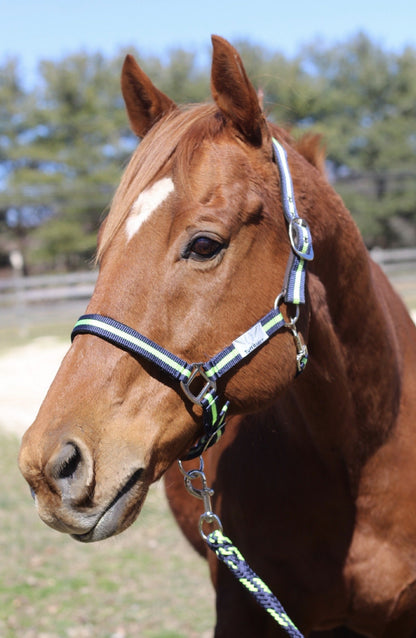 TuffRider Nylon Breakaway Halter & Lead Set