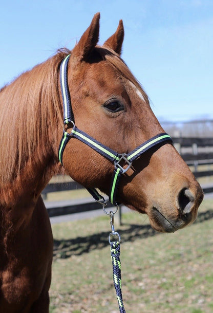 TuffRider Nylon Breakaway Halter & Lead Set