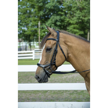 Henri de Rivel Pro Anatomical Bridle