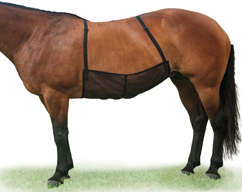 Cashel Quiet Ride Belly Guard Horse Fly Sheet