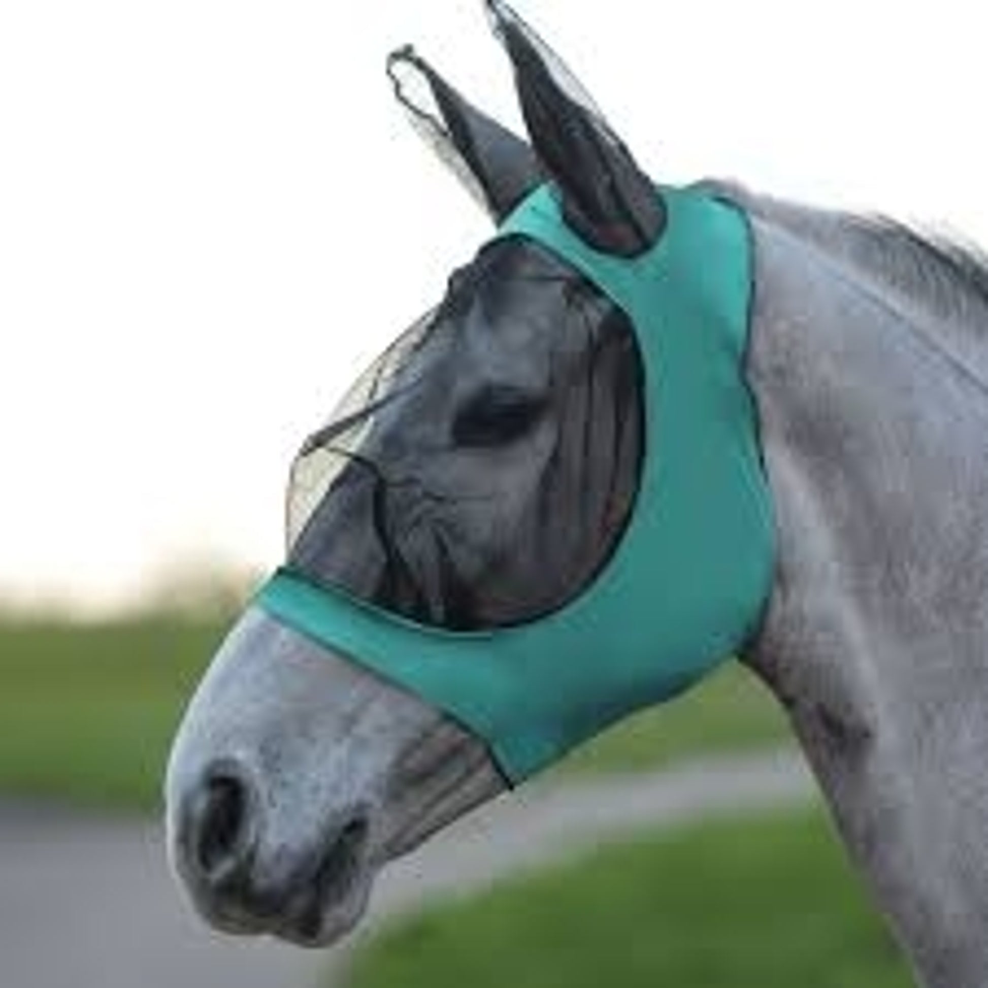 Weatherbeeta Stretch Eye Saver With Ears