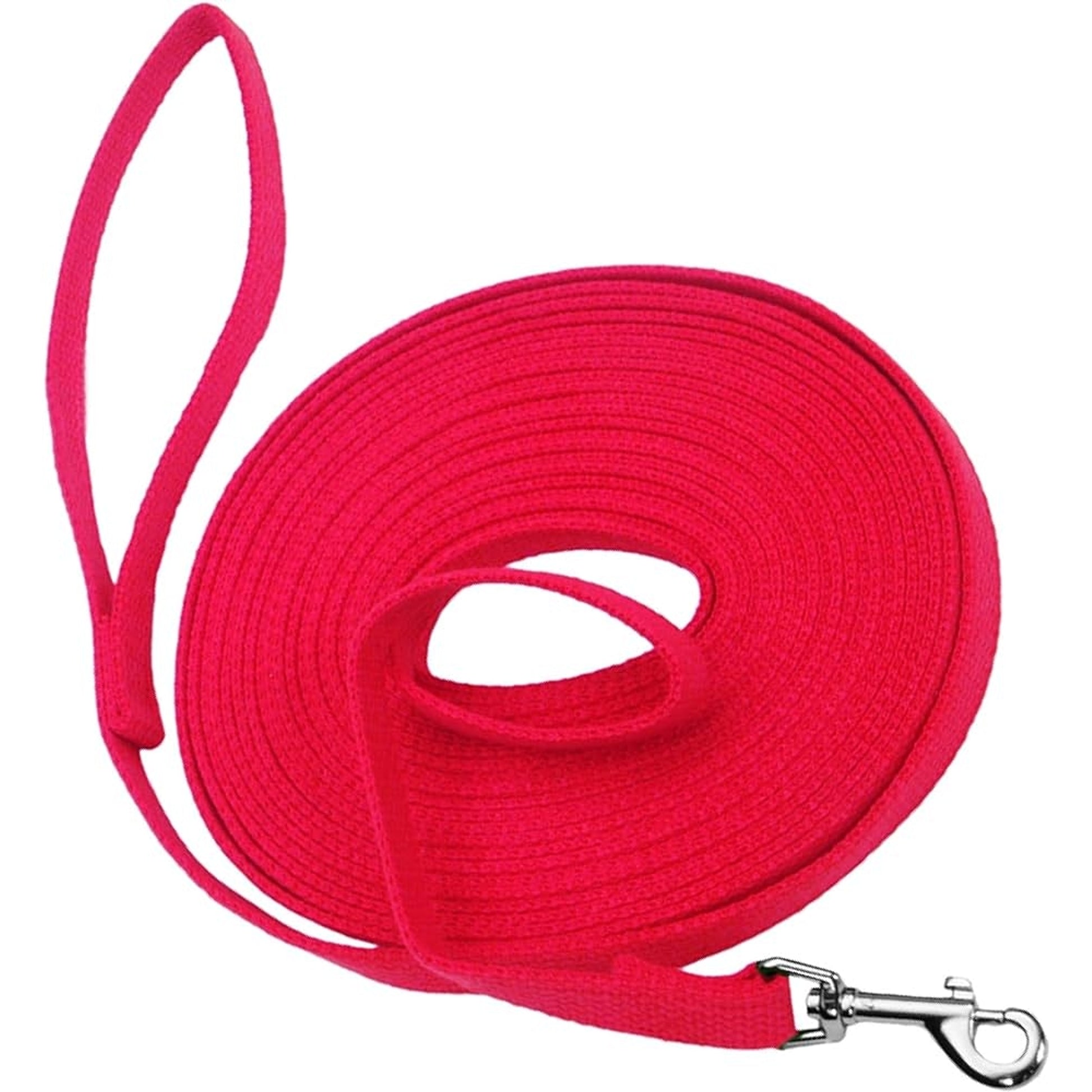 Web Training Dog Lead