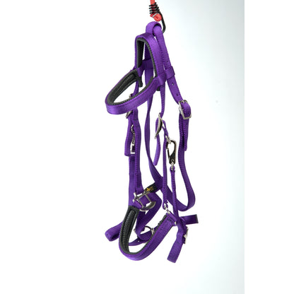 Triple E Nylon Padded Trail Bridle