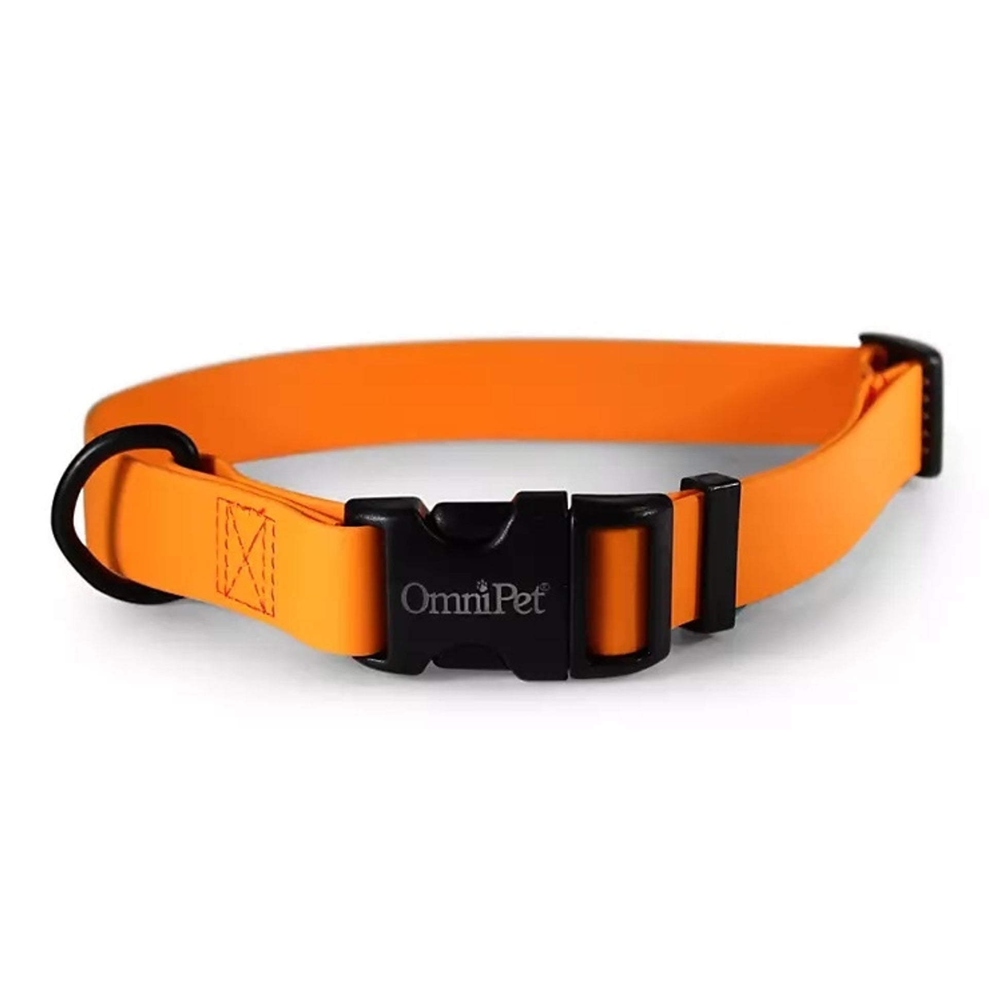 Carnival Waterproof Dog Collar